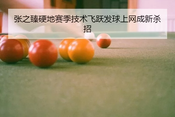 张之臻硬地赛季技术飞跃发球上网成新杀招