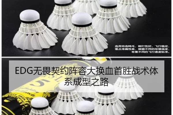 EDG无畏契约阵容大换血首胜战术体系成型之路
