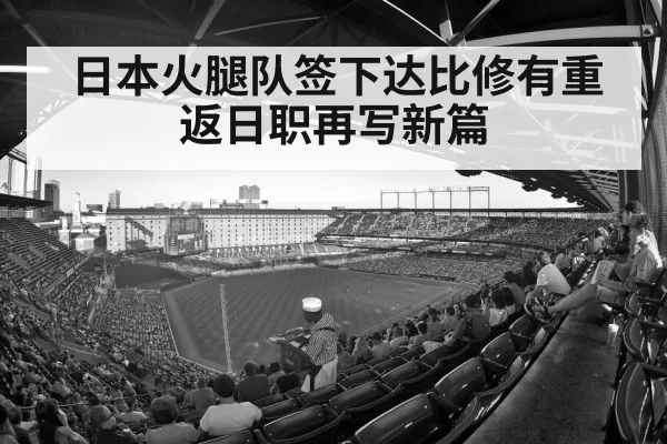 baseball stadium crowd